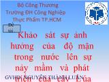 Đề tài Khảo sát sự ảnh hưởng của độ mặn trong nước lên sự nảy mầm và phát triển của cây Lúa