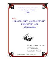 Đề tài Quản trị chiến lược tại công ty Beeline Việt Nam năm 2009-2010