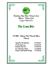 Đề tài Tảo Lam Độc