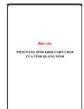 Đề tài TIỀM NĂNG SINH KHỐI CORN CROP CỦA TỈNH QUẢNG NINH