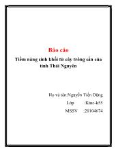 Đề tài Tiềm năng sinh khối từ cây trông sắn của tỉnh Thái Nguyên