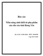 Đề tài Tiềm năng sinh khối từ phụ phẩm của sắn của tỉnh Hưng Yên