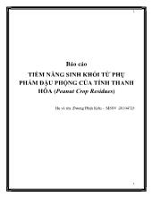Đề tài Tiềm năng sinh khối từ phụ phẩm đậu phộng của tỉnh Thanh Hóa (Peanut Crop Residues)