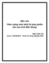 Đề tài Tiềm năng sinh khối từ phụ phẩm lúa của tỉnh Bắc Giang