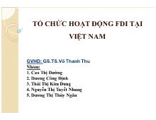 Đề tài Tổ chức hoạt động FDI tại Việt Nam