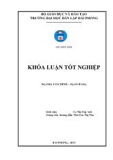 Khóa luận Giải pháp mở rộng và nâng cao hiệu quả tín dụng tiêu dùng tại ngân hàng thương mại cổ phần Sài Gòn thương tín chi nhánh Hải Phòng