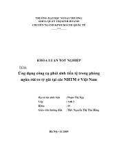 Khóa luận Ứng dụng công cụ phái sinh tiền tệ trong phòng ngừa rủi ro tỷ giá tại các ngân hàng thương mại ở Việt Nam