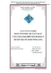 Luận văn Phân tích hiệu quả sản xuất cây cam sành trên đất ruộng ở huyện Trà Ôn tỉnh Vĩnh Long