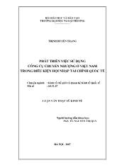 Luận văn Phát triển việc sử dụng công cụ chuyển nhượng ở Việt Nam trong điều kiện hội nhập tài chính quốc tế