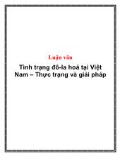 Luận văn Tình trạng đô-La hóa tại Việt Nam: Thực trạng và giải pháp