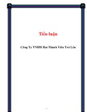 Tiểu luận Công Ty TNHH Hai Thành Viên Trở Lên