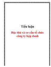 Tiểu luận Đặc thù và cơ cấu tổ chức công ty hợp danh