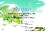 Tiểu luận Dấu chân sinh thái (ef)