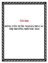 Tiểu luận Dòng vốn nước ngoài cho các thị trường mới nổi 2010
