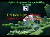 Tiểu luận Hấp phụ trong xử lý môi trường