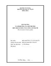 Tiểu luận Môi trường và ảnh hưởng của môi trường đến chất lượng cuộc sống con người
