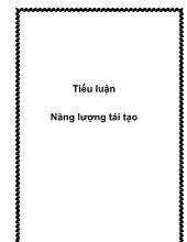 Tiểu luận Năng lượng tái tạo