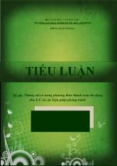 Tiểu luận Những rủi ro trong phương thức thanh toán tín dụng thư L/C và các biện pháp phòng tránh