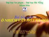 Tiểu luận Ô nhiễm văn hóa xã hội