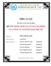 Tiểu luận Phân tích các tỷ số tài chính của công ty cổ phần đạm Phú Mỹ
