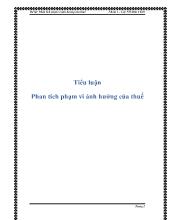 Tiểu luận Phân tích phạm vi ảnh hưởng của thuế