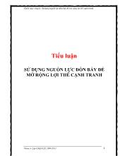 Tiểu luận Sử dụng nguồn lực đòn bẩy để mở rộng lợi thế cạnh tranh