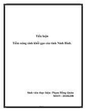 Tiểu luận Tiềm năng sinh khối gạo của tỉnh Ninh Bình