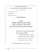Tiểu luận Tìm hiểu chiến lược phát triển và đưa ra điểm yếu, điểm mạnh của công ty cổ phần tập đoàn Hoa Sen