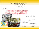 Tiểu luận Tìm hiểu về sản xuất sạch hơn trong công nghiệp dệt