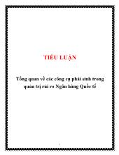 Tiểu luận Tổng quan về các công cụ phái sinh trong quản trị rủi ro Ngân hàng Quốc tế