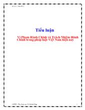 Tiểu luận Vi phạm hành chính và trách nhiệm hành chính trong pháp luật Việt Nam hiện nay
