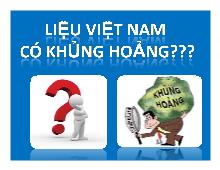 Bài thuyết trình Liệu Việt Nam có khủng hoảng?