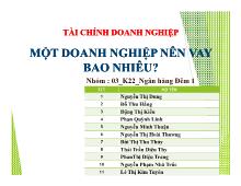 Bài thuyết trình Một doanh nghiệp nên vay bao nhiêu?