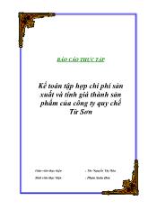 Báo cáo Kế toán tập hợp chi phí sản xuất và tính giá thành sản phẩm của công ty quy chế Từ Sơn