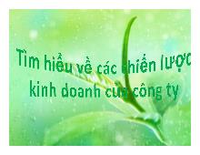 Tiểu luận Tìm hiểu về các chiến lược kinh doanh của công ty