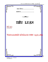 Tiểu luận Tính toán thiết kế hầm đá 1000 / ngày,đêm