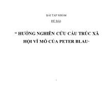 Bài tập nhóm Hướng nghiên cứu cấu trúc xã hội vĩ mô của peter blau