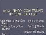 Bài thảo luận Nhóm côn trùng ký sinh sâu hại