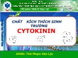 Bài thuyết trình Chất kích thích sinh trưởng cytokinin