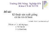 Bài thuyết trình Kĩ thuật sản xuất giống cá tra và cá basa