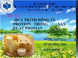 Bài thuyết trình Quá trình đông tụ protein trong sản xuất phomat