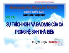 Bài thuyết trình Sự thích nghi và đa dạng của cá trong hệ sinh thái biển