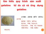Bài thuyết trình Tìm hiểu quy trình sản xuất gelatine từ da cá và ứng dụng gelatine