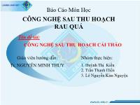 Báo cáo Công nghệ sau thu hoạch cải thảo