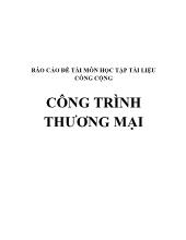 Báo cáo môn học tập tài liệu công cộng đề tài công trình thương mại