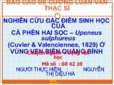Báo cáo Nghiên cứu đặc điểm sinh học của cá phèn hai sọc – upeneus sulphureus (cuvier & valenciennes, 1829) ở vùng ven biển Quảng Bình