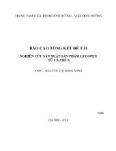 Báo cáo Nghiên cứu sản xuất sản phẩm lycopen từ cà chua