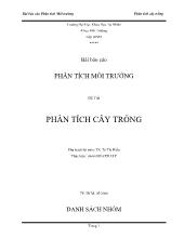 Báo cáo Phân tích cây trồng