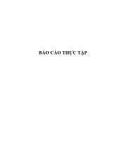 Báo cáo quá trình thực tập sản xuất trồng trọt và lâm nghiệp