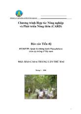 Báo cáo Quản lý những bệnh Phytophthora trên cây trồng ở Việt nam lần thứ hai